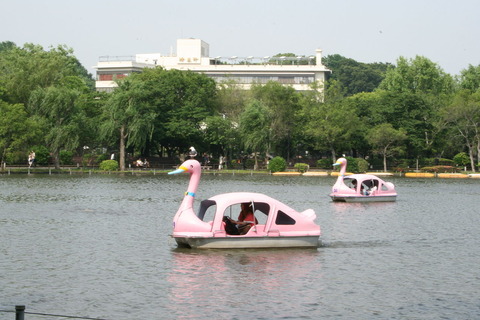 1280px-Swan-boat