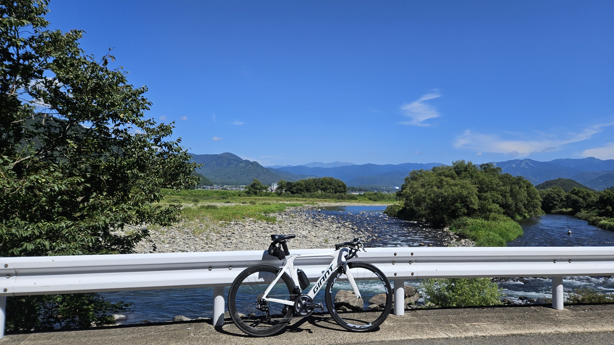 Wheel Top EDS【インプレ・レビュー】脳筋ガチサイクリストが発表する